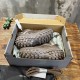tire shoes tire shoes