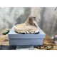 balenciaga speed run balenciaga speed run