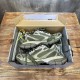 3XL sneaker runner