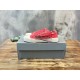 Paris Canvas Shoes
