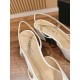 Mary Jane Ballet Shoes
