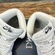 dior&AJ1 dior&AJ1