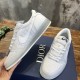 dior&AJ1 dior&AJ1