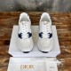 Cest Dior Cest Dior
