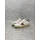 Golden Goose / Top Edition BALLSTAR Dirty Shoes