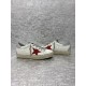 Golden Goose / Top Edition BALLSTAR Dirty Shoes