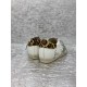 Golden Goose / Top Edition BALLSTAR Dirty Shoes