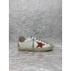 Golden Goose / Top Edition BALLSTAR Dirty Shoes