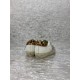 Golden Goose / Top Edition BALLSTAR Dirty Shoes
