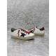 Golden Goose / Top Edition BALLSTAR Dirty Shoes