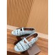 ballet shoes
