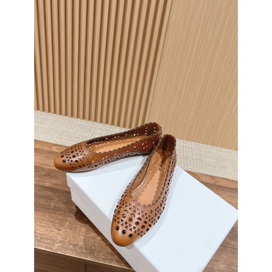 ballet shoes