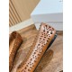 ballet shoes