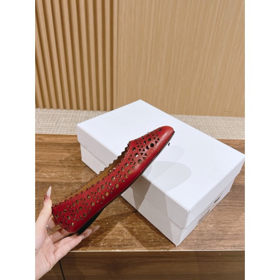ballet shoes