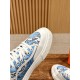 Skateboard shoes