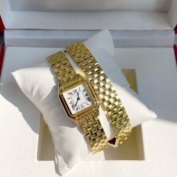 Panthre de Cartier / double chain Width 22mm.Length 30mm. Chain length 44cm卡地亚猎豹系列腕表/双圈表链宽度22mm 长度30mm 链条长度44cm瑞士进口石英机芯，316L精钢表壳表链。蓝晶石表冠，蓝宝石镜面，淬火钢蓝指针，双圈环绕链条，便捷珠宝扣。