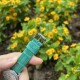 【彩虹盘松石绿】甜蜜七夕，浪漫佳节与你度过！   超美宝珀3661钻石女表34.9mm钻石舞会系列腕表惊艳登场！