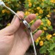 【彩虹盘纯洁白】甜蜜七夕，浪漫佳节与你度过！   超美宝珀3661钻石女表34.9mm钻石舞会系列腕表惊艳登场！