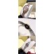LONGINES 浪琴 Symphonette圆舞曲升级版系列腕表,表壳镶方钻高端大气之作 原装进口两针半石英机芯,精致视角美感,尺寸23*32cm! LONGINES 浪琴 Symphonette圆舞曲升级版系列腕表,表壳镶方钻高端大气之作 原装进口两针半石英机芯,精致视角美感,尺寸23*32cm!