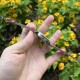【银色梦幻紫】甜蜜七夕，浪漫佳节与你度过！   超美宝珀3661钻石女表34.9mm钻石舞会系列腕表惊艳登场！