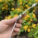 【彩虹盘纯洁白】甜蜜七夕，浪漫佳节与你度过！   超美宝珀3661钻石女表34.9mm钻石舞会系列腕表惊艳登场！