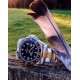 ROLEX 劳力士