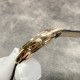 积家月相大师 出货实拍