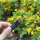 【玫瑰金午夜蓝】甜蜜七夕，浪漫佳节与你度过！   超美宝珀3661钻石女表34.9mm钻石舞会系列腕表惊艳登场！