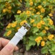 【彩虹盘纯洁白】甜蜜七夕，浪漫佳节与你度过！   超美宝珀3661钻石女表34.9mm钻石舞会系列腕表惊艳登场！