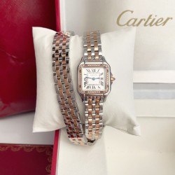 Panthre de Cartier / double chain Width 22mm.Length 30mm. Chain length 44cm卡地亚猎豹系列腕表/双圈表链宽度22mm 长度30mm 链条长度44cm瑞士进口石英机芯，316L精钢表壳表链。蓝晶石表冠，蓝宝石镜面，淬火钢蓝指针，双圈环绕链条，便捷珠宝扣。