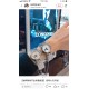 浪琴心月月相，小红书推荐爆款
