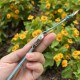 【银色Tiffany蓝】甜蜜七夕，浪漫佳节与你度过！   超美宝珀3661钻石女表34.9mm钻石舞会系列腕表惊艳登场！