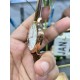 IWC 万国 波涛菲诺 系列!316L精钢表壳顶级打磨,表耳R弧度同步原装够大,线条更优美,表壳与底盖衔接完美,定制日历字体及粗细 绅士商务休闲首选! IWC 万国 波涛菲诺 系列!316L精钢表壳顶级打磨,表耳R弧度同步原装够大,线条更优美,表壳与底盖衔接完美,定制日历字体及粗细 绅士商务休闲首选!