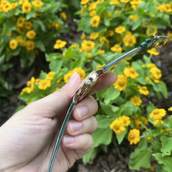 【玫瑰金孔雀绿】甜蜜七夕，浪漫佳节与你度过！  超美宝珀3661钻石女表34.9mm钻石舞会系列腕表惊艳登场！