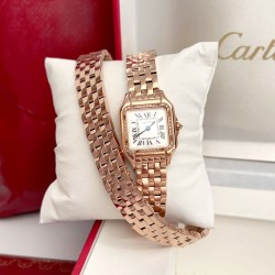 Panthre de Cartier / double chain Width 22mm.Length 30mm. Chain length 44cm卡地亚猎豹系列腕表/双圈表链宽度22mm 长度30mm 链条长度44cm瑞士进口石英机芯，316L精钢表壳表链。蓝晶石表冠，蓝宝石镜面，淬火钢蓝指针，双圈环绕链条，便捷珠宝扣。