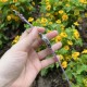 【彩虹盘梦幻紫】甜蜜七夕，浪漫佳节与你度过！   超美宝珀3661钻石女表34.9mm钻石舞会系列腕表惊艳登场！