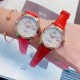 欧米加OMEGA 女士腕表   进口石英机芯  316L精钢表壳  直径34mm厚8m
