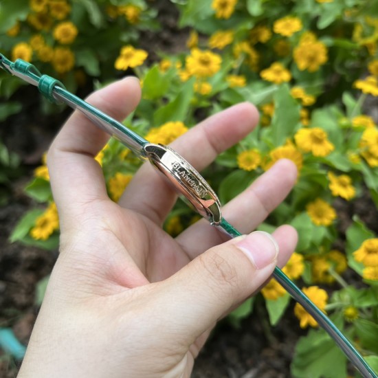 【玫瑰金森林绿】甜蜜七夕，浪漫佳节与你度过！   超美宝珀3661钻石女表34.9mm钻石舞会系列腕表惊艳登场！