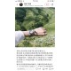 ★浪琴心月女表，  小红书推荐爆款