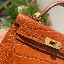 Kelly's second-generation crocodile pattern 19cm
