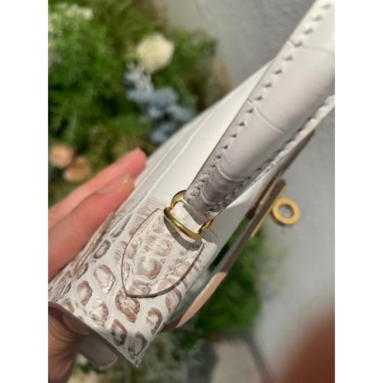Kelly's second-generation crocodile pattern 19cm