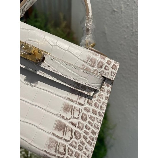 Kelly's second-generation crocodile pattern 19cm