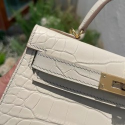Kelly's second-generation crocodile pattern 19cm