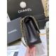jumbo Classic flap bag