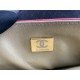 22A Gold Coin Chain Bag