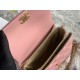 22A Gold Coin Chain Bag