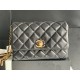 22A Gold Coin Chain Bag