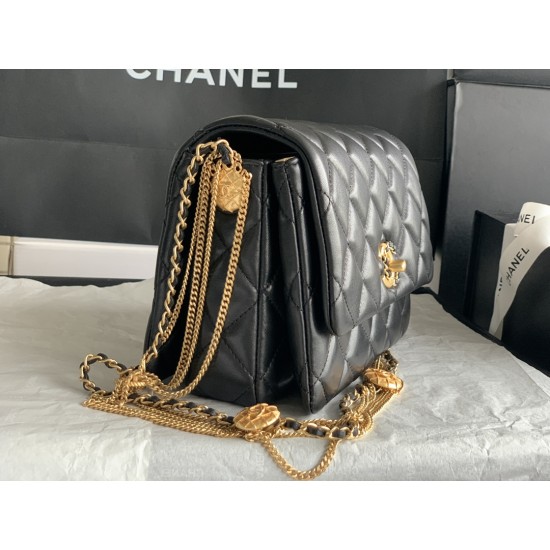 22A Gold Coin Chain Bag