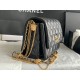 22A Gold Coin Chain Bag