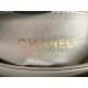 22A Gold Coin Chain Bag